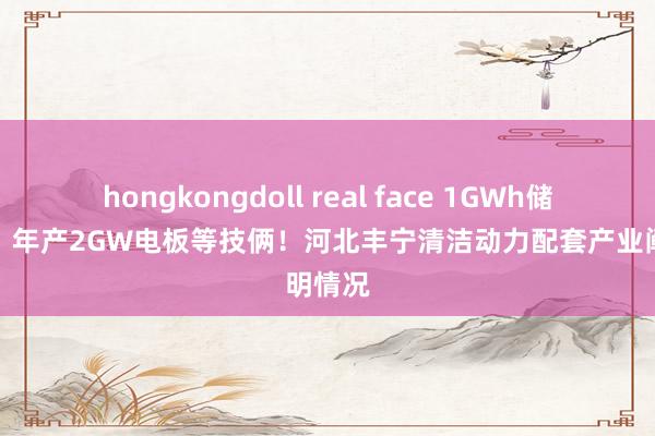 hongkongdoll real face 1GWh储能电站！年产2GW电板等技俩！河北丰宁清洁动力配套产业阐明情况