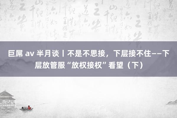 巨屌 av 半月谈丨不是不思接，下层接不住——下层放管服“放权接权”看望（下）
